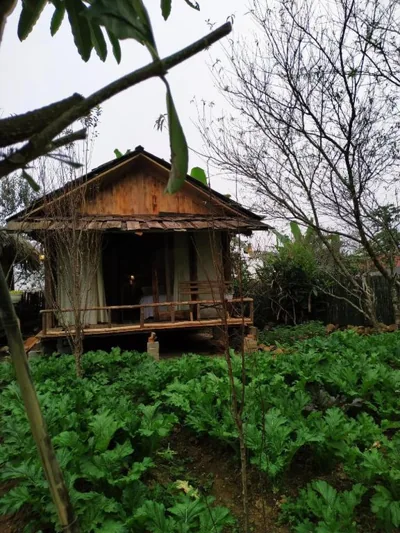 Bungalow mit Patio — Anh Duc Homestay